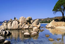 开云体育中国-西雅图海湾者队长激励全队，挑战强敌士气高昂