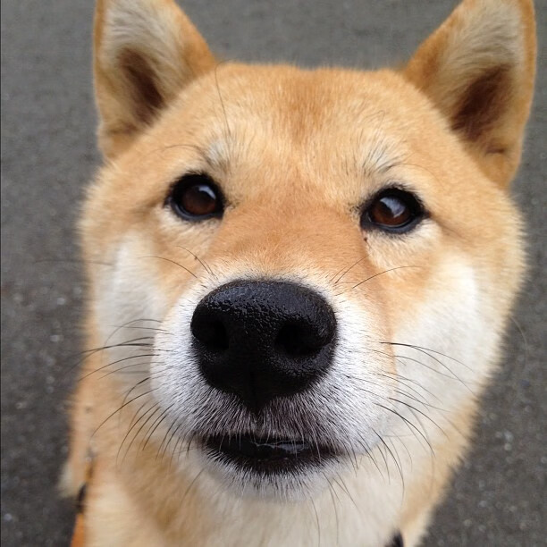 开云体育在线-风城公牛欧冠式绞杀，当篮球场变成温布利，贝恩的45分沦陷于战术牢笼