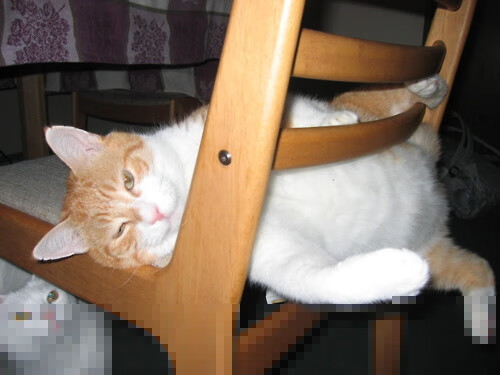 跨界风暴，上海队数据掘金未半，克莱已接管虚拟F1王座