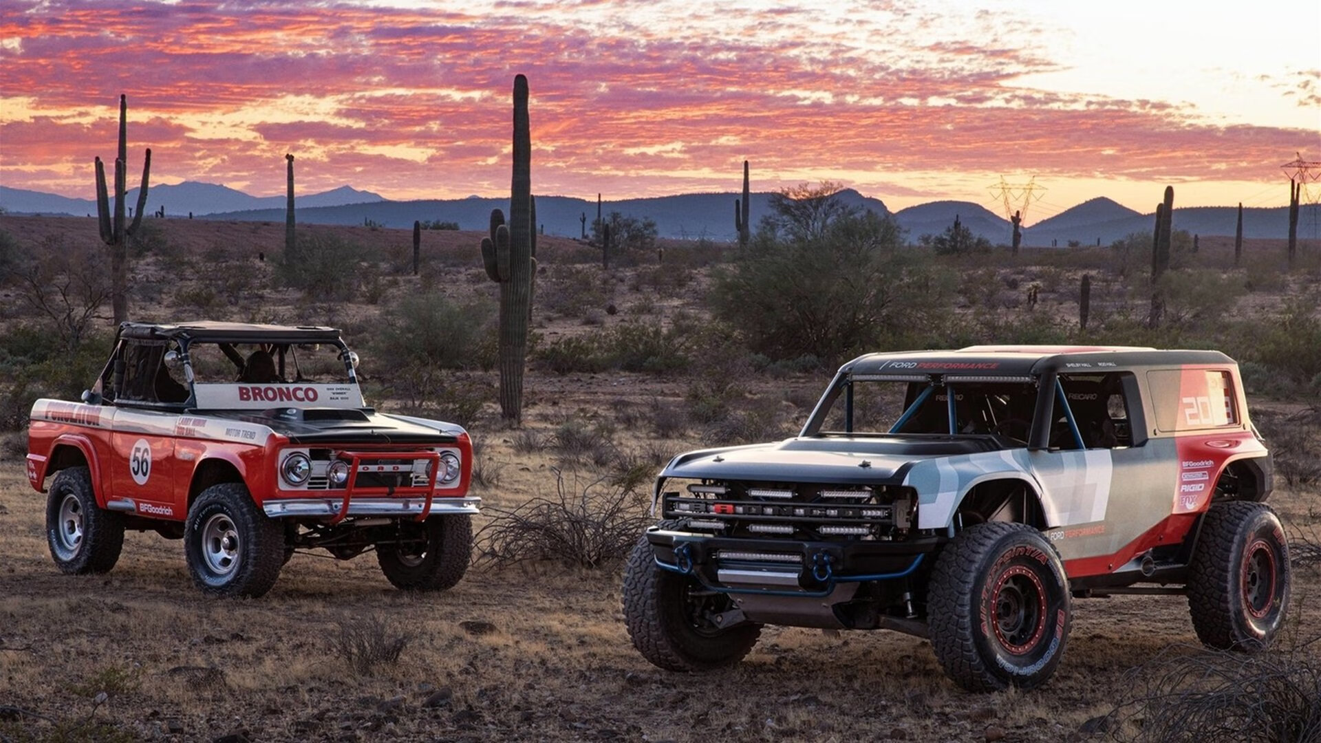 撕裂北欧森林的拉丁闪电，加维在厄瓜多尔对阵瑞典一役中的唯一性宣言