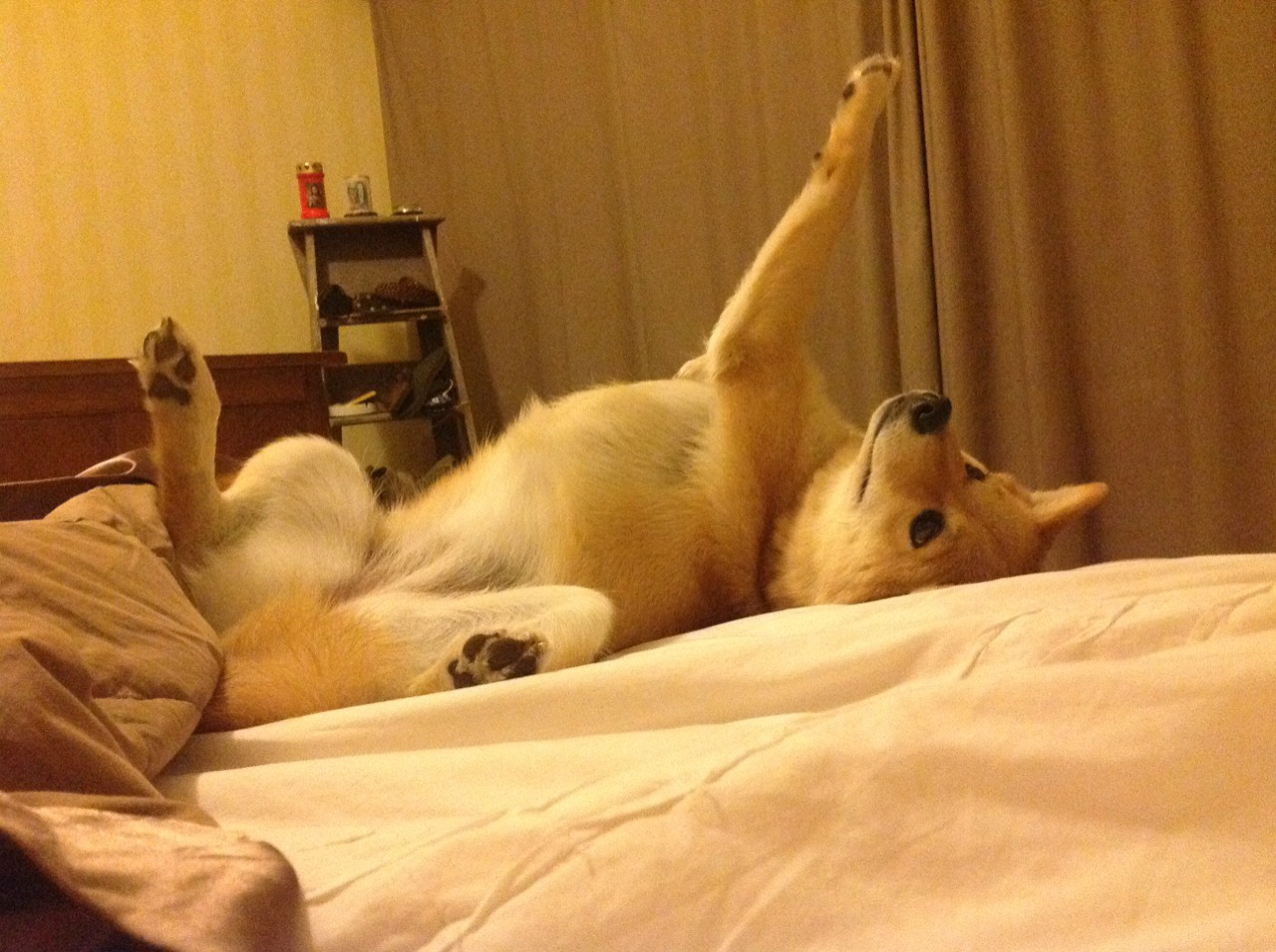 破局的艺术与锁死的哲学，阿什拉夫的利刃如何试炼国米的铁壁