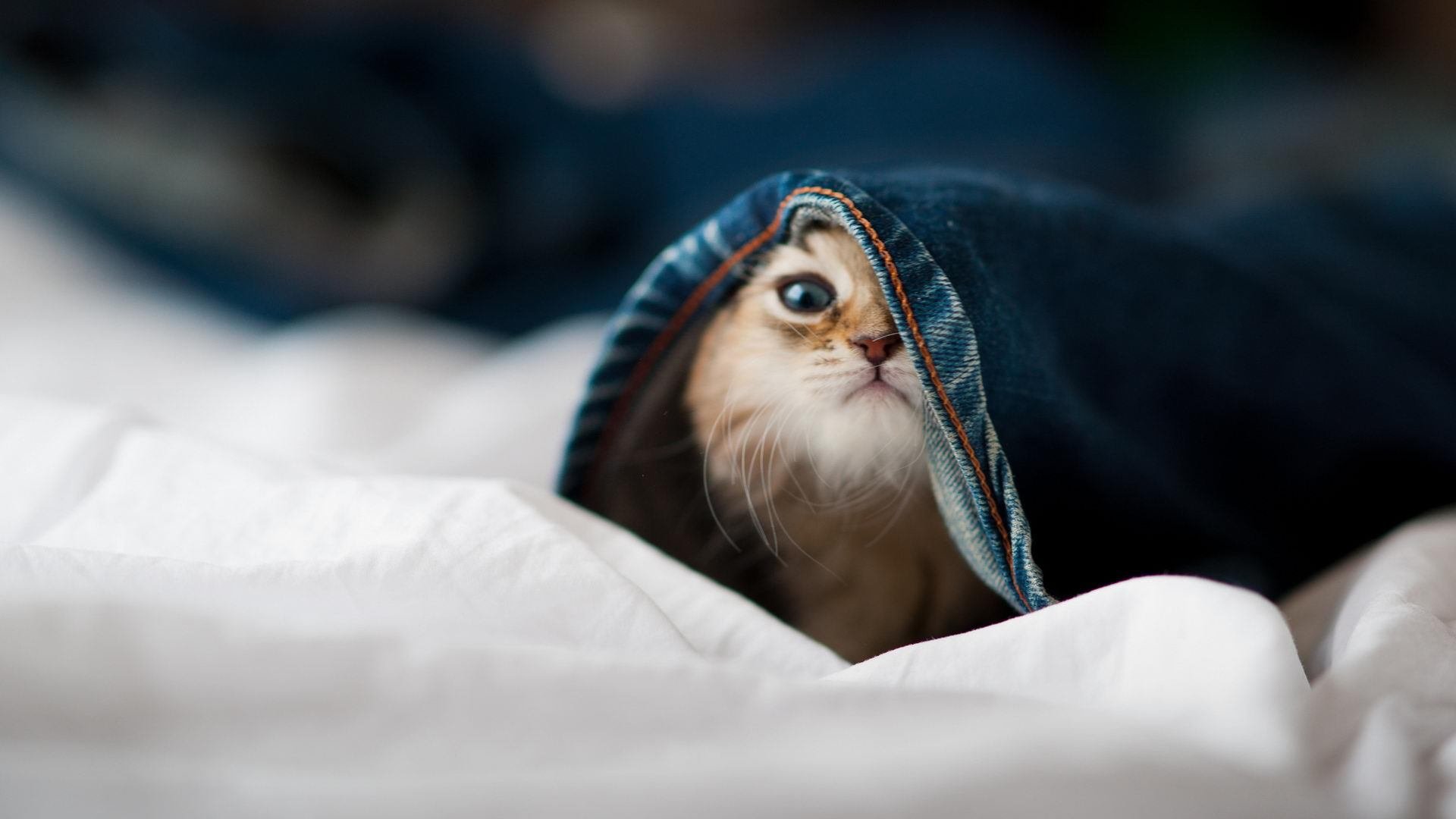 倒数15秒，恩佐那记改写世界排名的多余传球