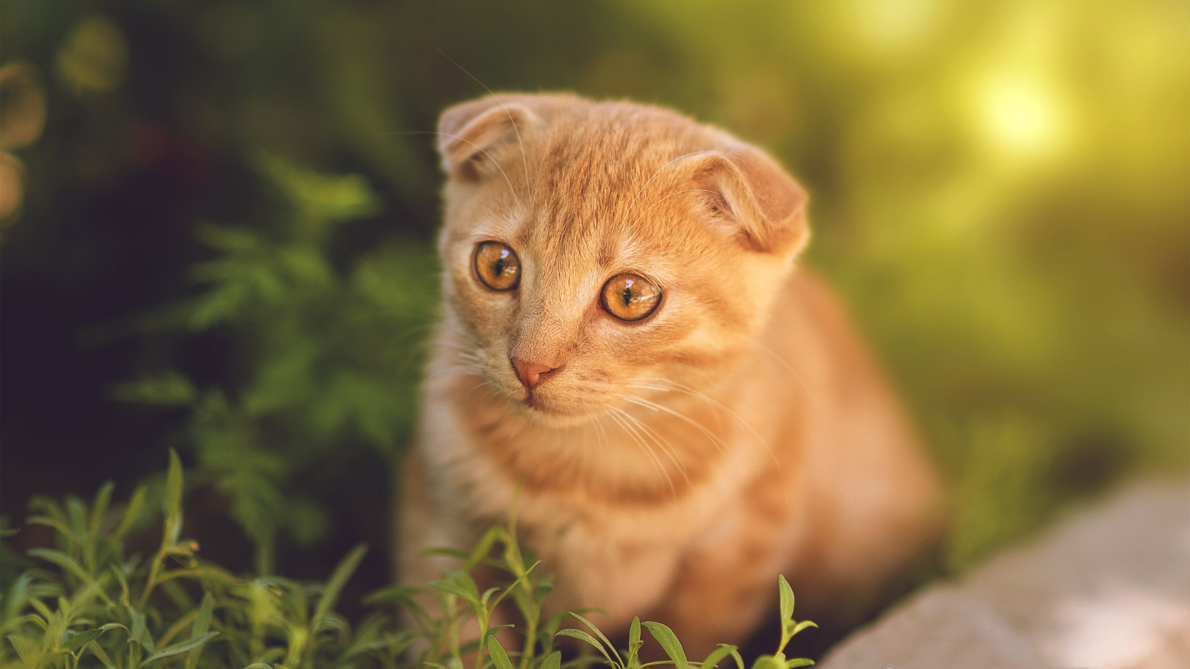 开云sport-跨界巨星，利拉德从NBA掘金胜马刺到西甲德比接管比赛的传奇之旅