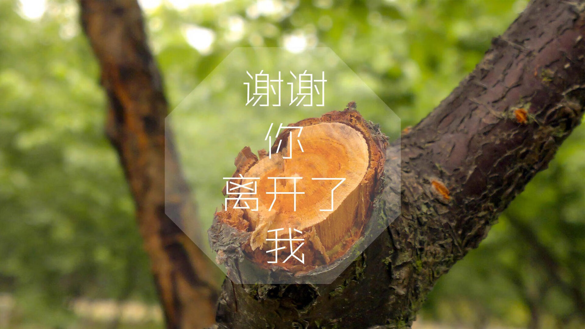 致命一击的底色，当斯洛伐克打破宿命，托纳利在世界之巅写下唯一